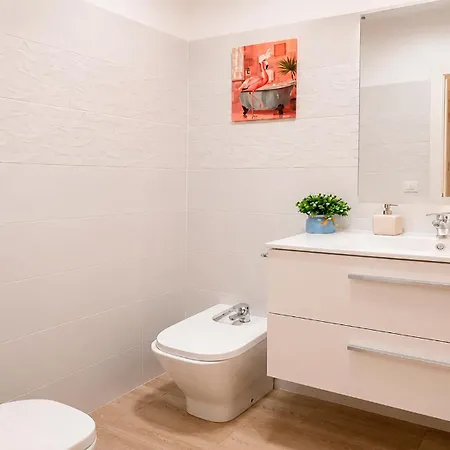 Apartamento Aroca Loft *